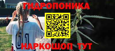 прущие грибы Рузаевка