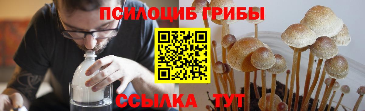 Псилоцибиновые грибы MAGIC MUSHROOMS Омск